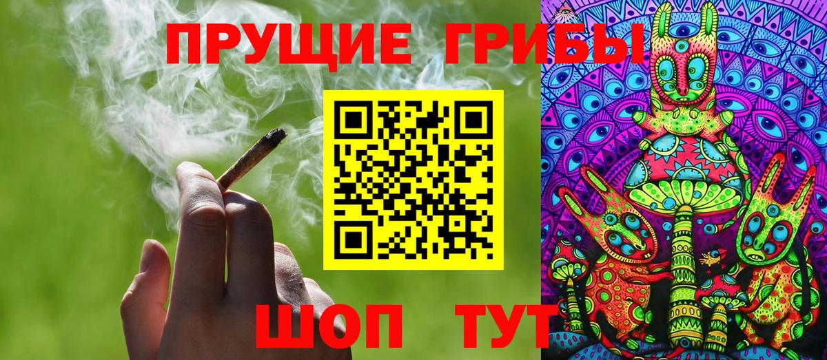 Галлюциногенные грибы Magic Shrooms  Вход с VPN  Камень-на-Оби 