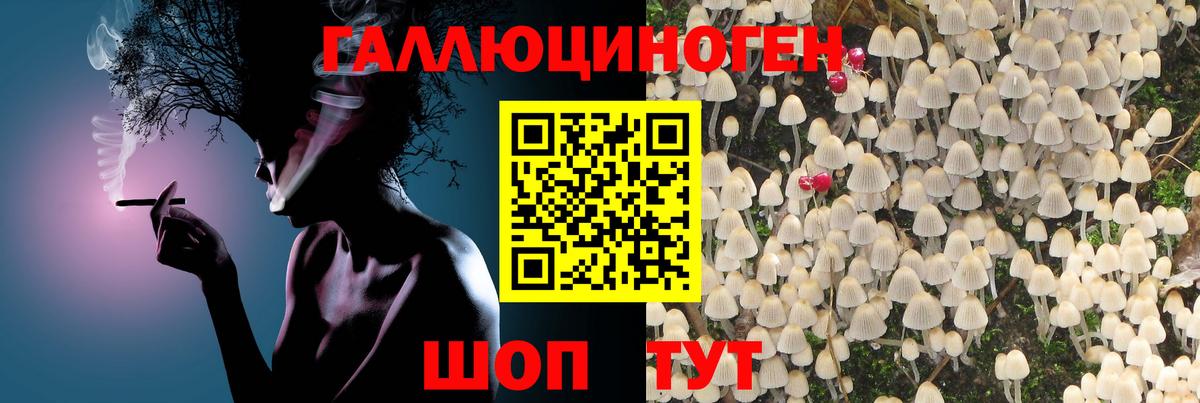 Галлюциногенные грибы мухоморы Камень-на-Оби